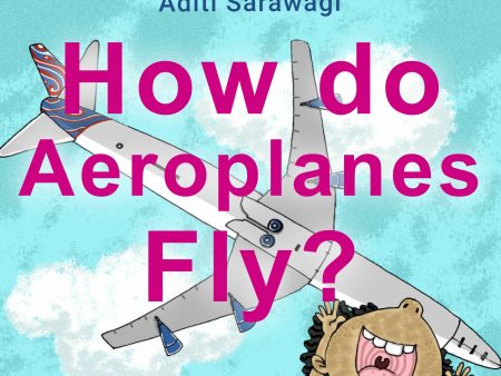 How do Aeroplanes Fly? on Sale